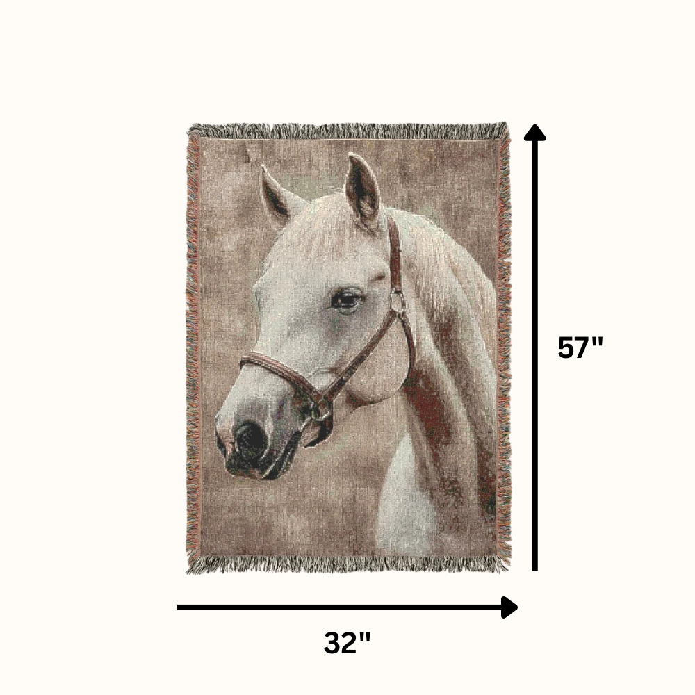 Horse Blankets
