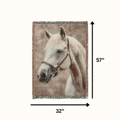 Horse Blankets