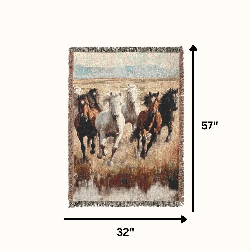 Horse Blankets