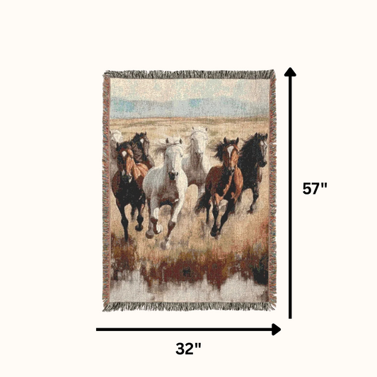 Horse Blankets