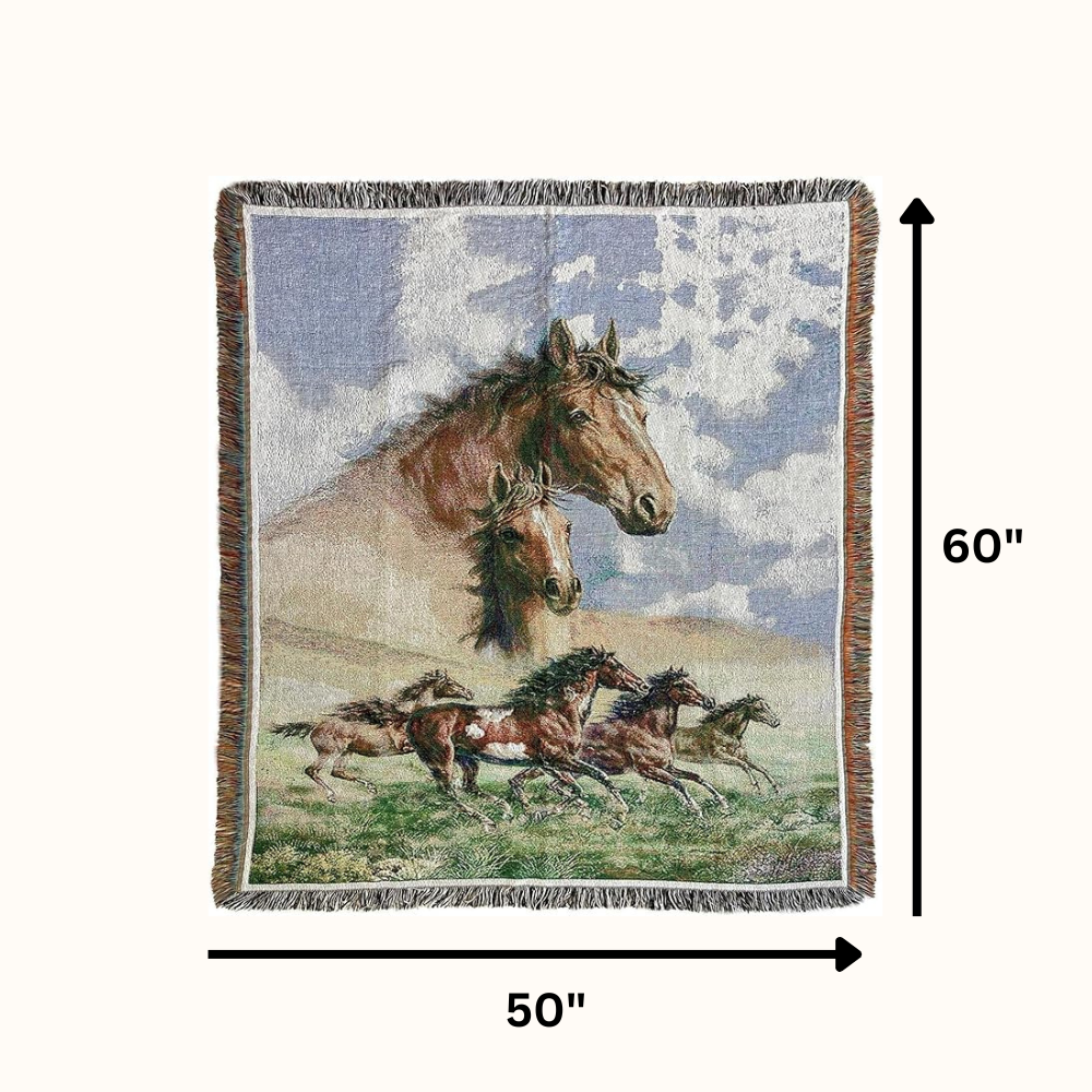 Horse Blankets